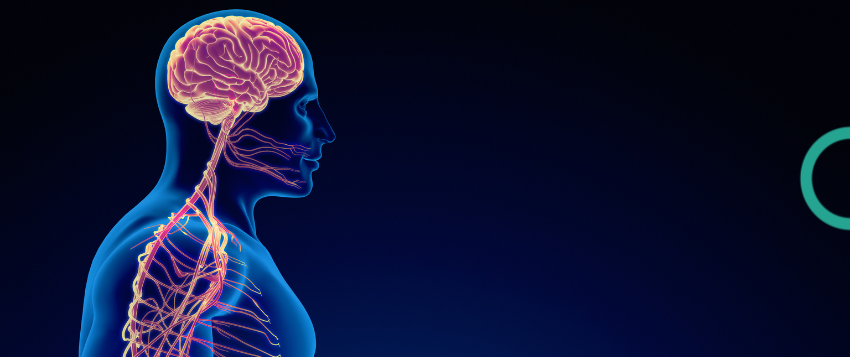 Physical Activity on Organ Health